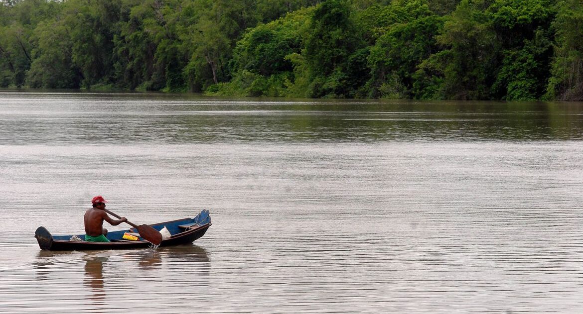 Amazônia Legal terá recursos para projetos de bioeconomia