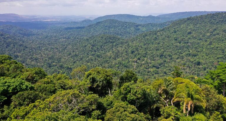 Amazônia é um dos focos da ONU para a Agenda 2030