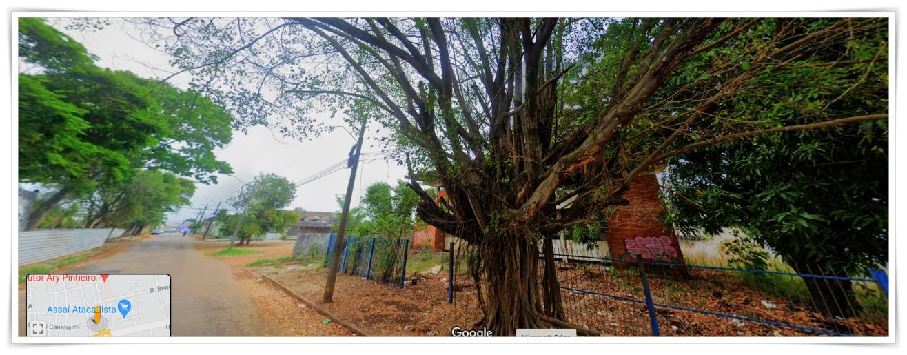 Prédios abandonados, casas em meio ao mato: descaso prejudica o cenário da capital - News Rondônia