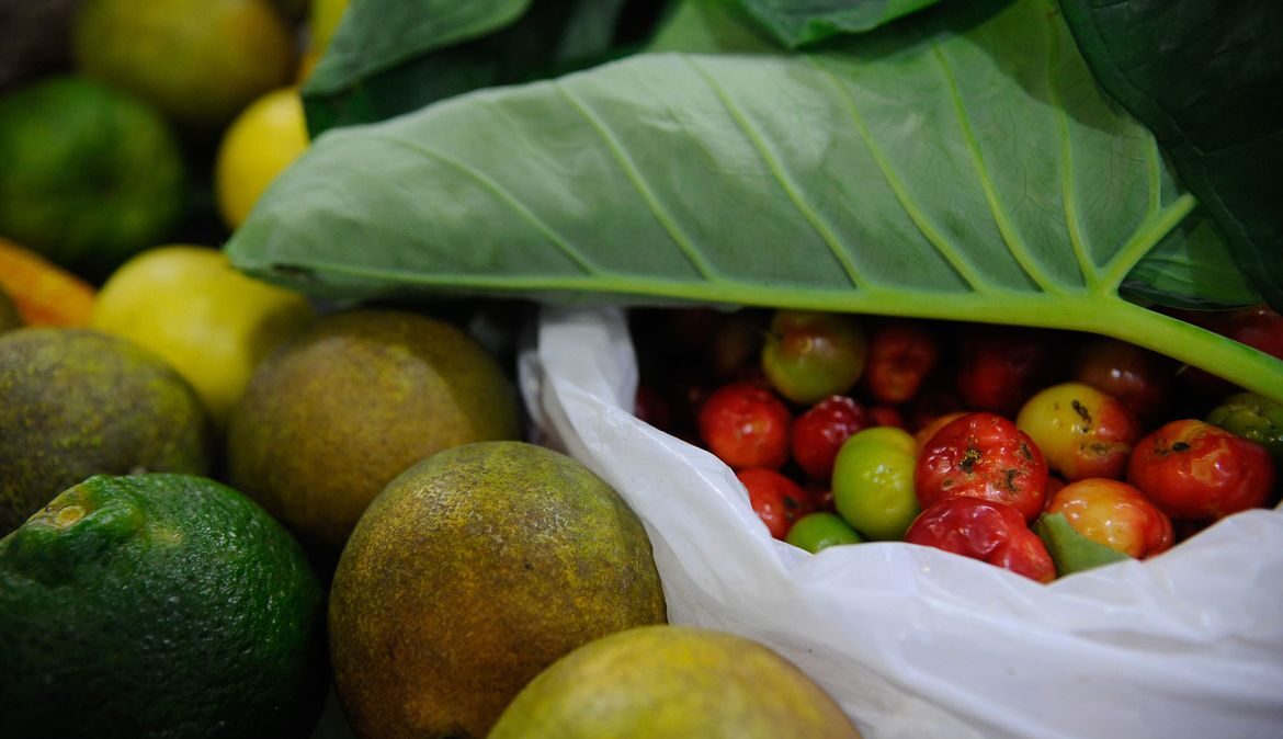 Conferência Nacional de Segurança Alimentar será em dezembro