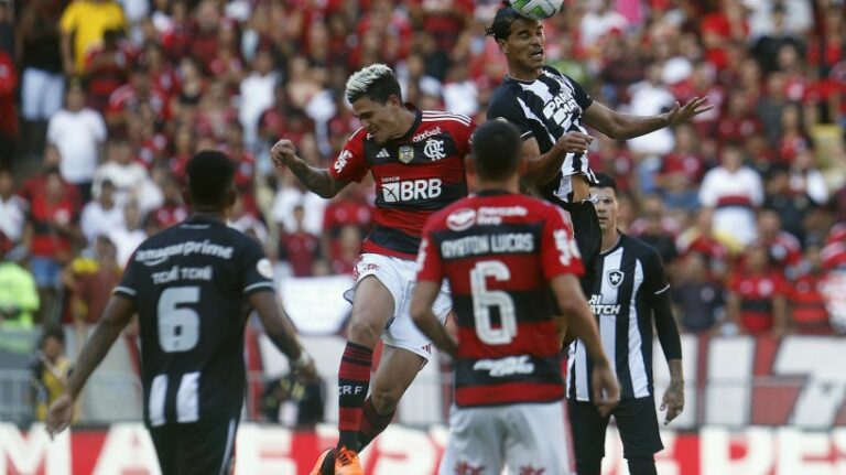 Confronto Decisivo no Brasileirão: Botafogo vs. Flamengo