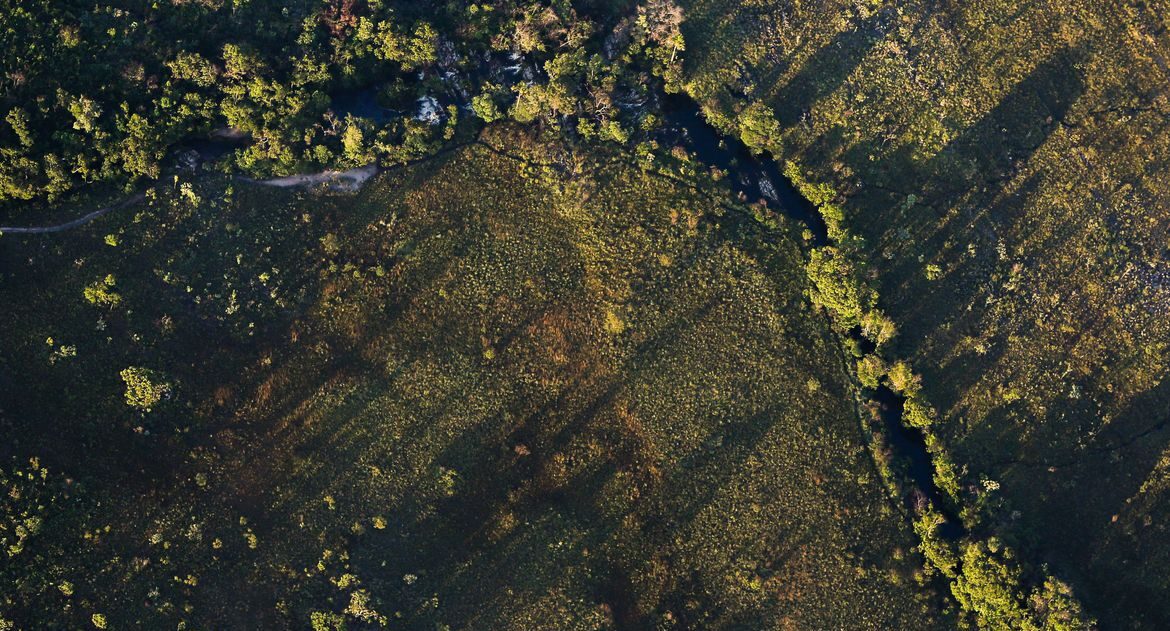 Desmatamento do Cerrado ameaça segurança hídrica de todo o Brasil