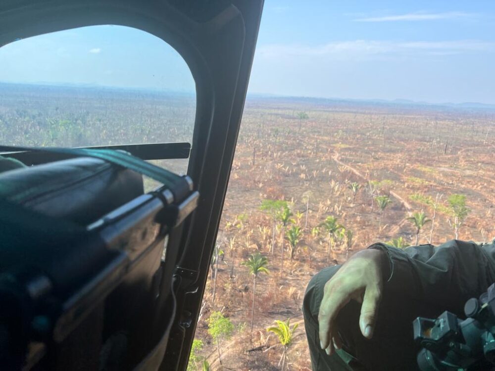 Polícia Federal realiza operação para preservar a integridade de terras indígenas - News Rondônia