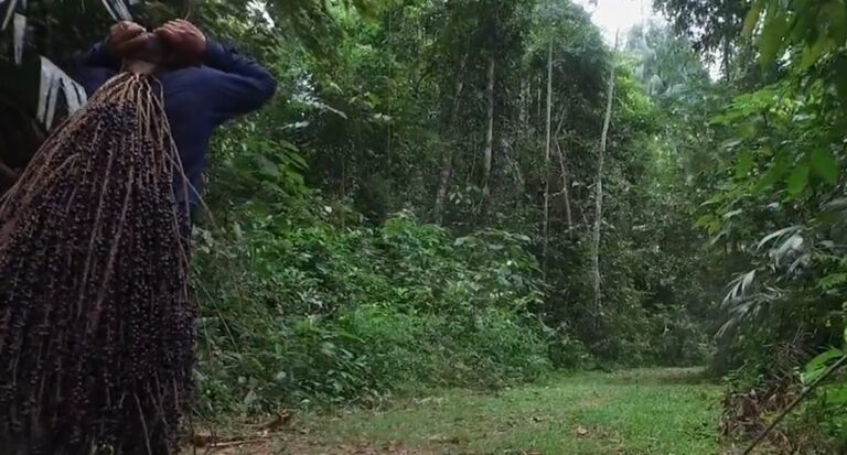 Cláudia de Jesus elogia iniciativas do Projeto Reca