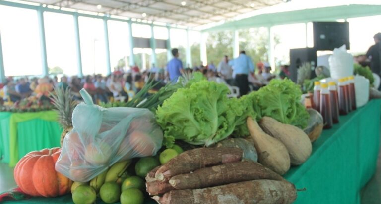 Profissionais da área da agronomia garantem qualidade e produção agrícola em Rondônia