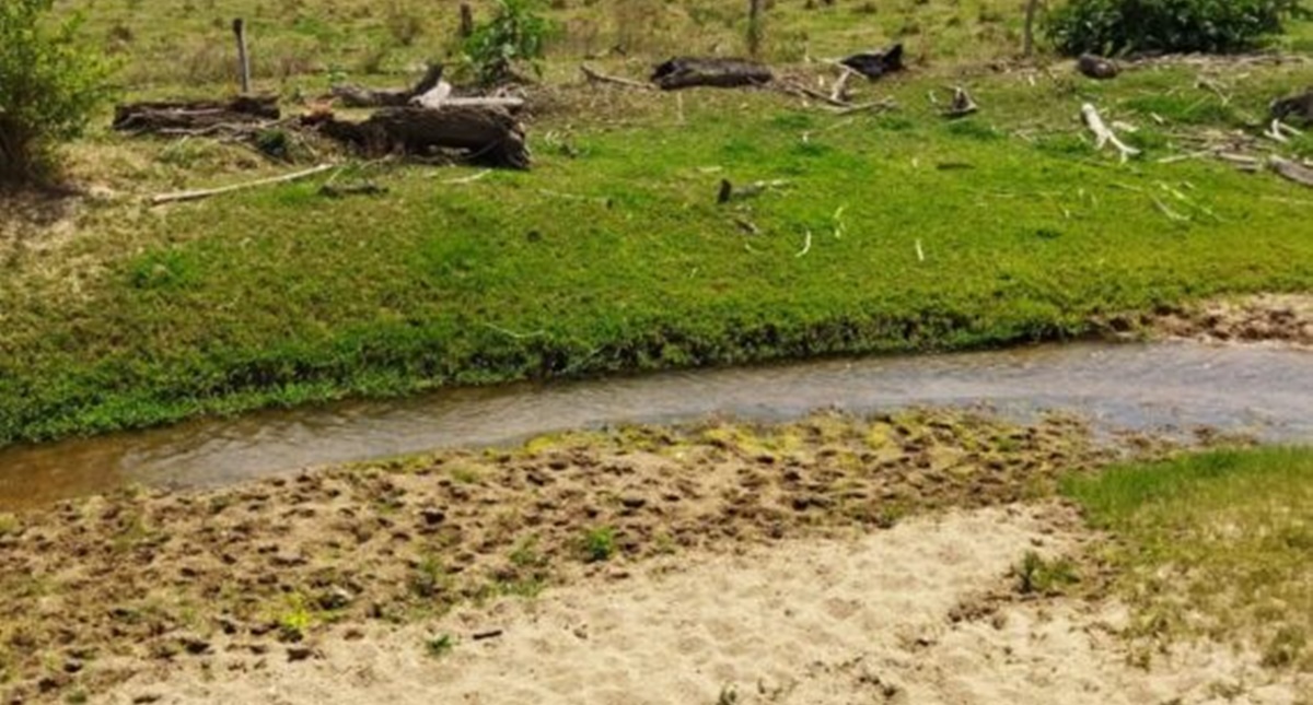 Governo de Rondônia investe em recuperação das nascentes e matas ciliares da bacia do rio Araras