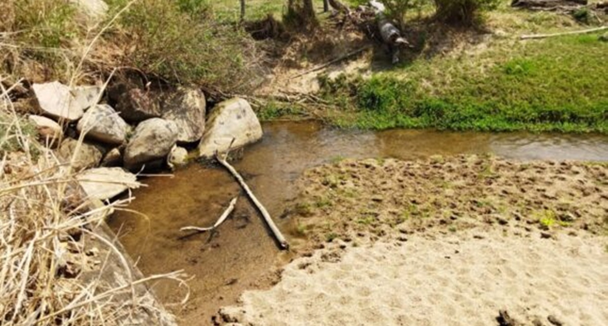 Governo de Rondônia investe em recuperação das nascentes e matas ciliares da bacia do rio Araras