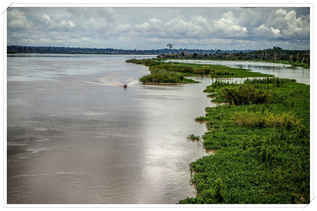 Rondônia: 40 piscinas olímpicas de esgoto são despejadas em nascentes, igarapés e rios do estado - News Rondônia