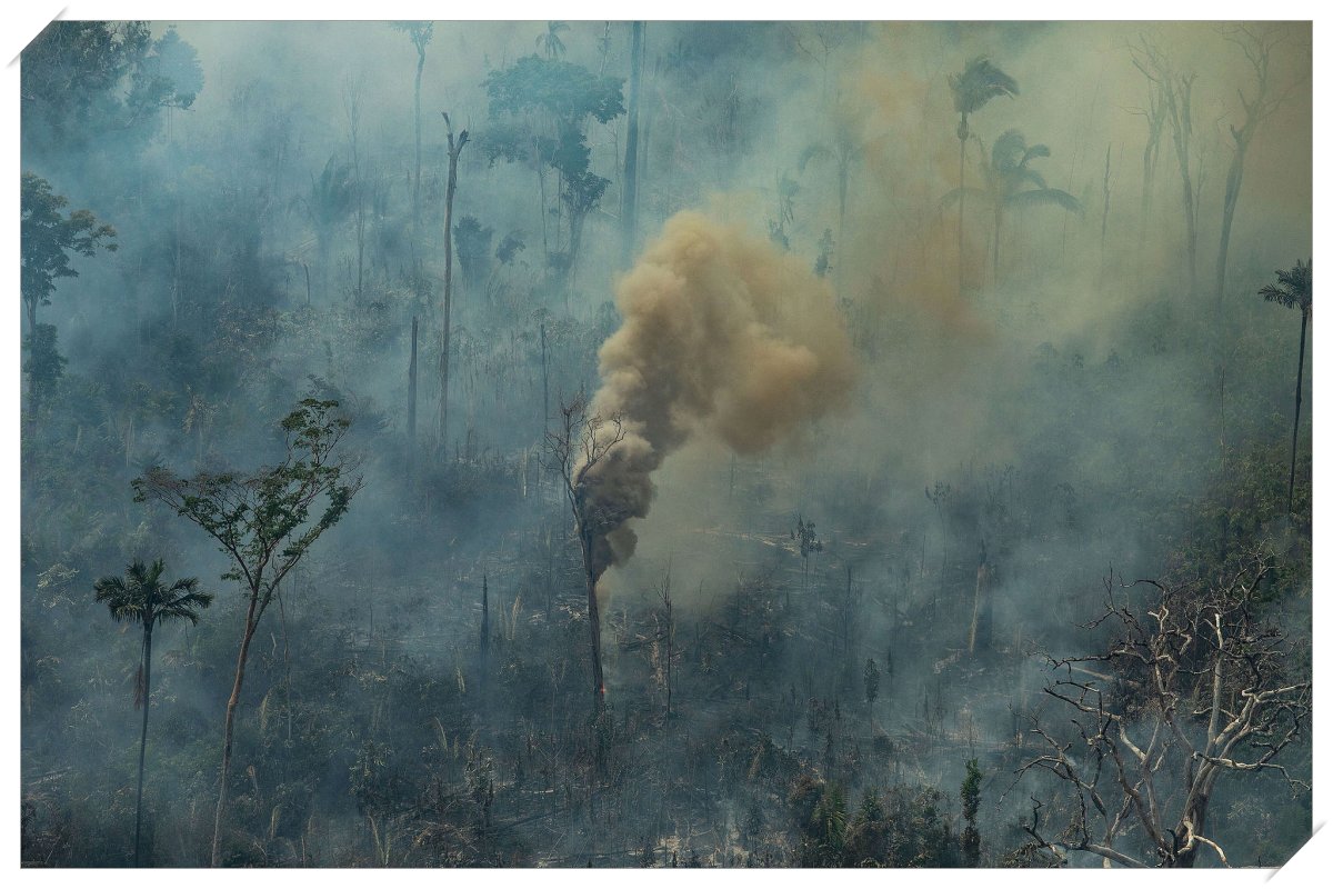 Marina Silva alerta: “estamos vivendo sob os efeitos da mudança do clima e os extremos” - News Rondônia