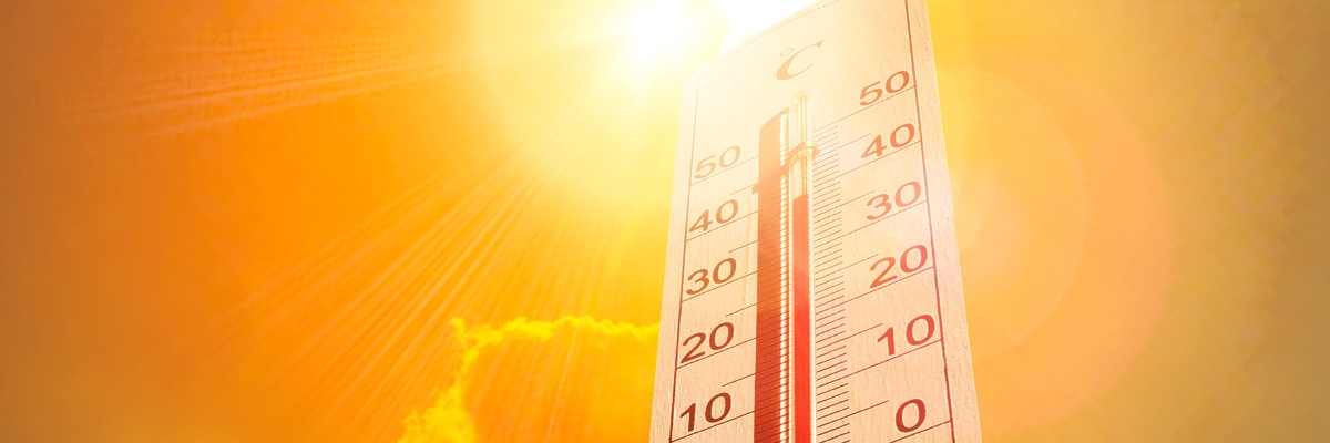Calor à vista e o dinheiro sumindo: ventilador ou ar-condicionado, qual pesa mais no bolso? - News Rondônia