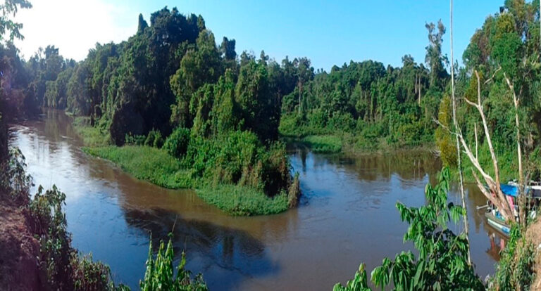 Rio Mamu – Pando – Bolívia - parte I – por Marquelino Santana - News Rondônia