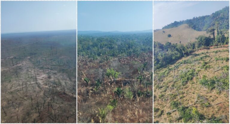 Polícia Federal realiza operação para preservar a integridade de terras indígenas - News Rondônia