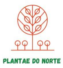 Requerimento de Renovação da Licença Ambiental: CALECHE COMERCIO E SERVICOS LTDA-ME - News Rondônia