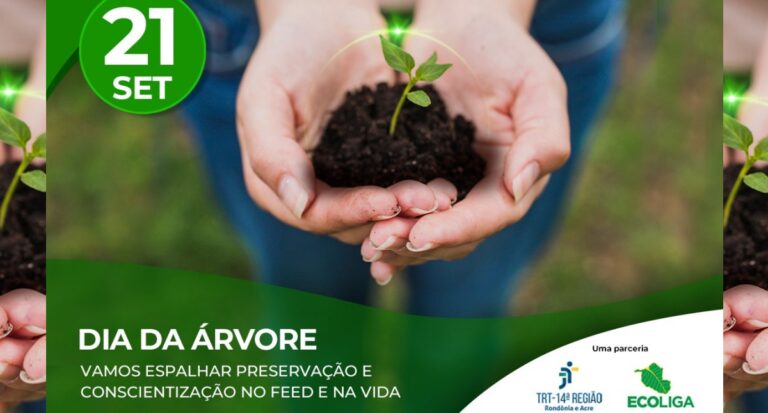 Dia da Árvore será celebrado pelo TRT-14 com distribuição de mudas nativas - News Rondônia