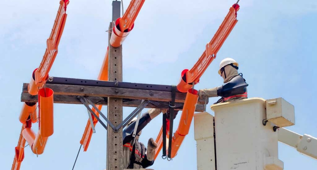 Energisa investe em obras de melhoria da infraestrutura elétrica no Cone Sul de Rondônia