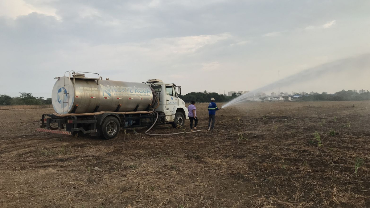 Caminhões pipas são utilizados para irrigar solo e garantir o crescimento das mais de 30 mil mudas plantadas na avenida Santos Dumont - News Rondônia