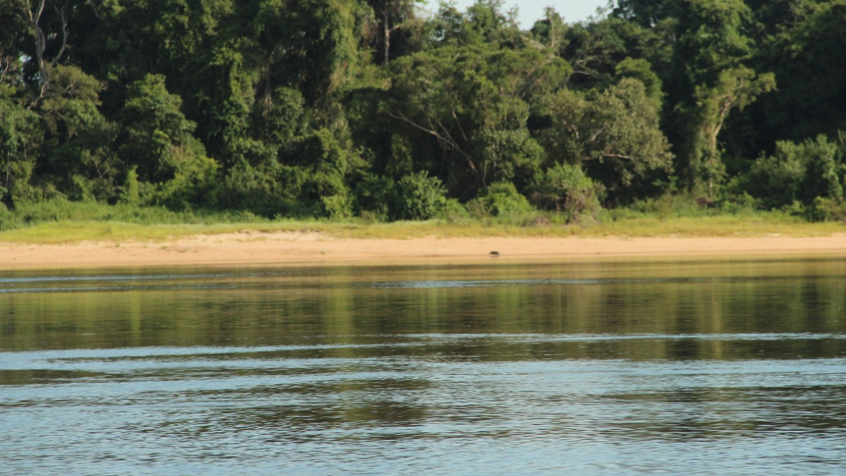 Governo de Rondônia viabiliza ações para regularizar terras públicas da União - News Rondônia
