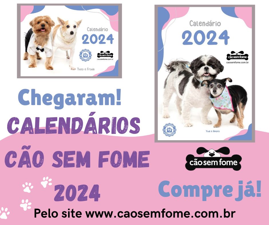 É importante conhecer as particularidades de alguns pets antes da adoção - News Rondônia