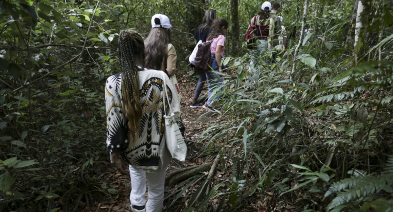 Projeto educativo apresenta biodiversidade do Cerrado