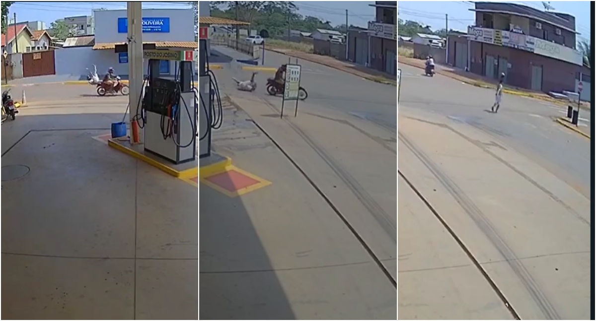 Comerciante reage a assalto e atira em criminosos – vídeo - News Rondônia