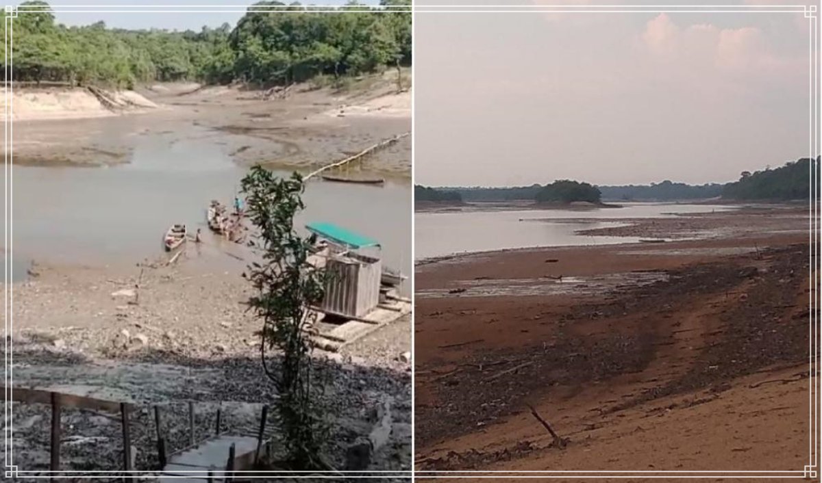 AMAZONAS: governador tenta justificar fumaça que toma conta de Manaus: “o estado está pagando por um problema que não foi ele que causou” - News Rondônia