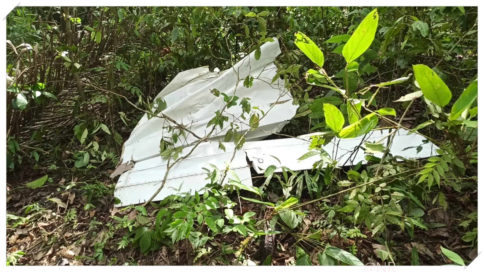 ACRE: Queda de aeronave da ART Táxi Aero deixa 12 mortos em Explosão - News Rondônia ACRE: Queda de aeronave da ART Táxi Aero deixa 12 mortos em Explosão - News Rondônia