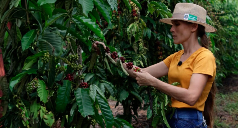 Produtoras de café de Rondônia alcançam final em competição nacional de excelência - News Rondônia