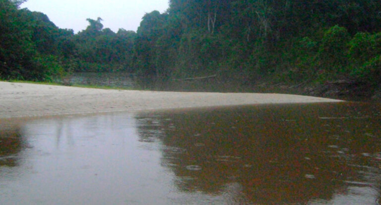 O malogro das águas e o advento das dunas brasivianas – por Marquelino Santana - News Rondônia