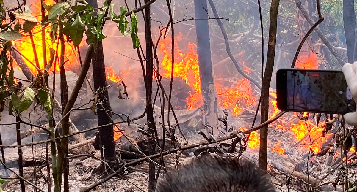 ACRE: Queda de aeronave da ART Táxi Aero deixa 12 mortos em Explosão - News Rondônia