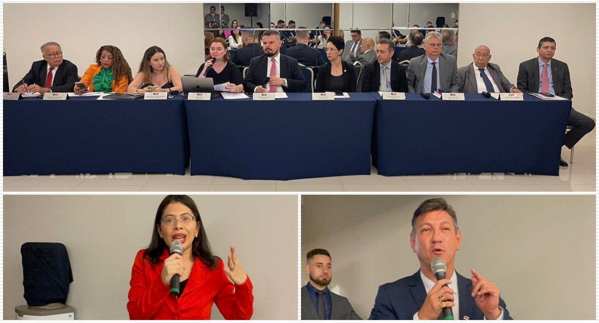 Homenagem póstuma: Conselho Seccional homenageia advogada Anita de Cácia Saldanha - News Rondônia