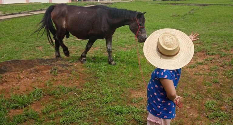 UNIR promove atividades assistidas por animais em Presidente Médici