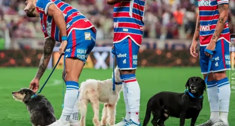 Jogadores entram em campo com cães para incentivar a adoção. Deu certo