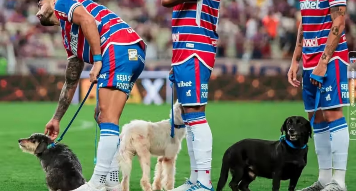 Jogadores entram em campo com cães para incentivar a adoção. Deu certo