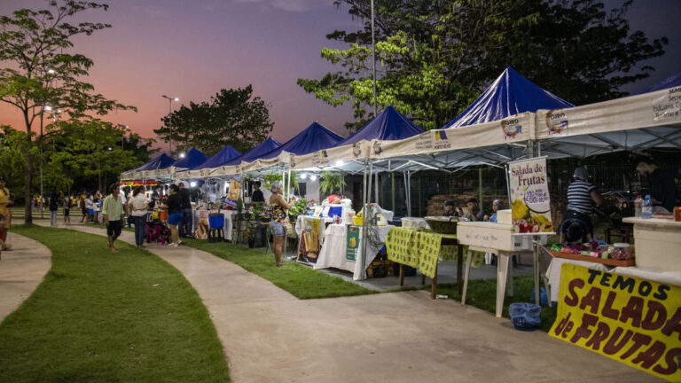 Feira de artesanato local será realizada em órgãos públicos na próxima semana - News Rondônia