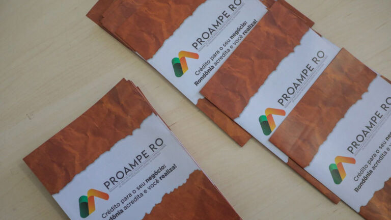 Proampe atinge a marca de R$1 milhão em microcrédito aprovado em Porto Velho - News Rondônia