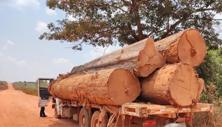 PF RO realiza prisão em flagrante por crimes em terra indígena
