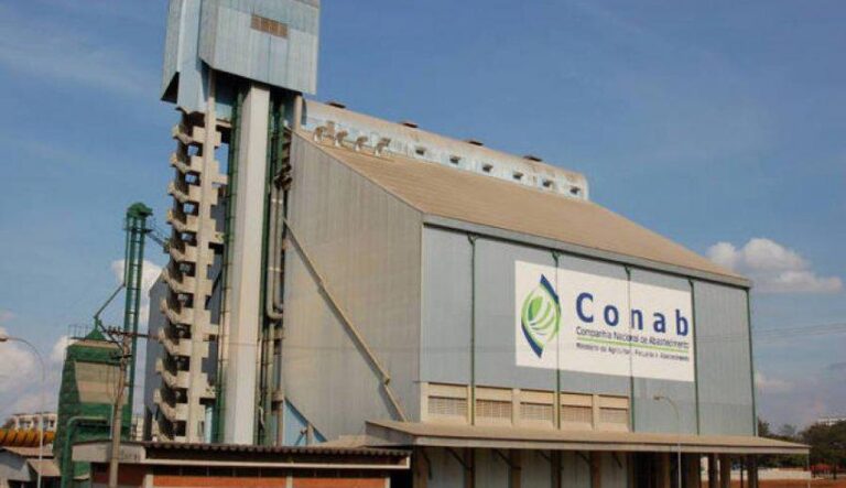 Monitoramento agrícola da Conab mostra que as condições climáticas impactam as principais regiões produtoras de grãos