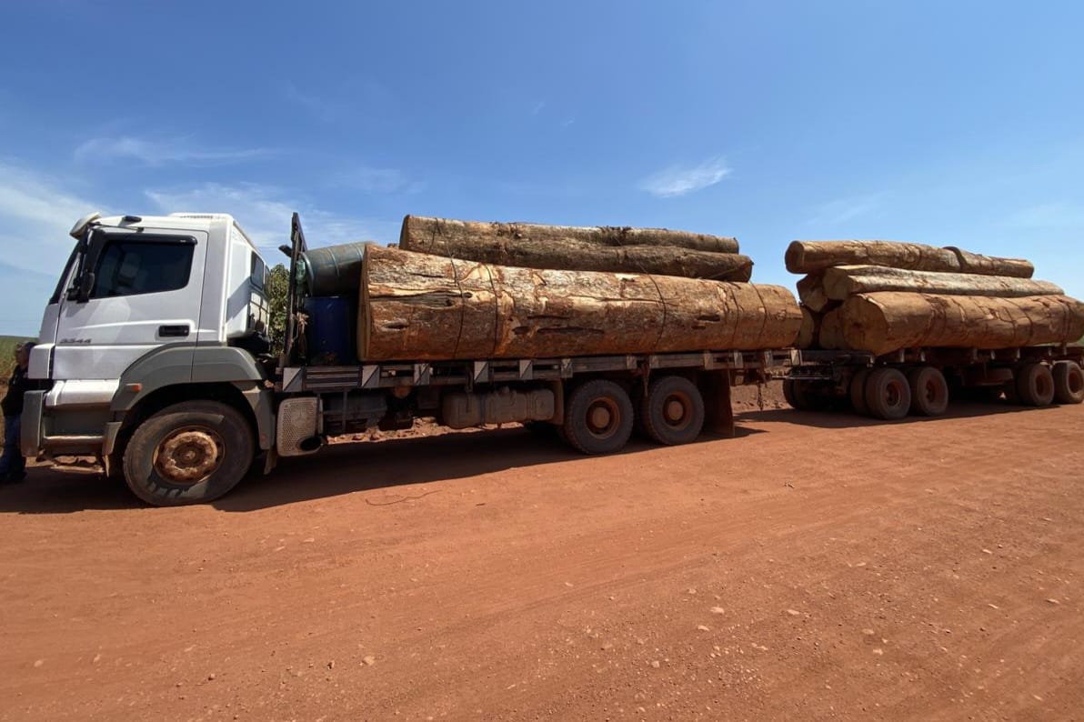 PF Rondônia apreende caminhão com madeira ilegal extraída de terra indígena - News Rondônia