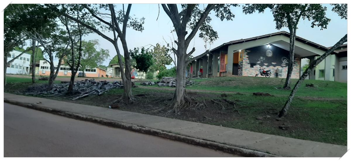 Cansados de promessas, estudantes da UNIR tomam a pró-reitoria - News Rondônia