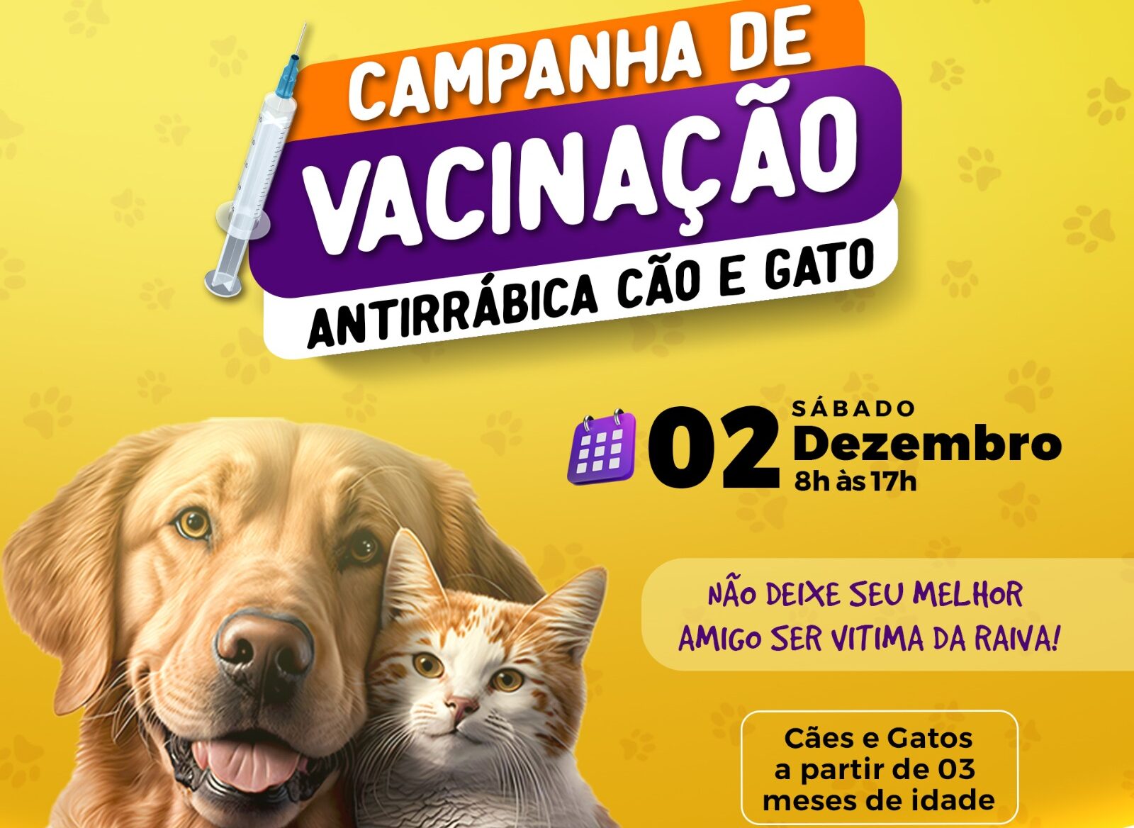 Campanha de vacinação contra a Raiva em Jaru será no próximo, 02 de dezembro