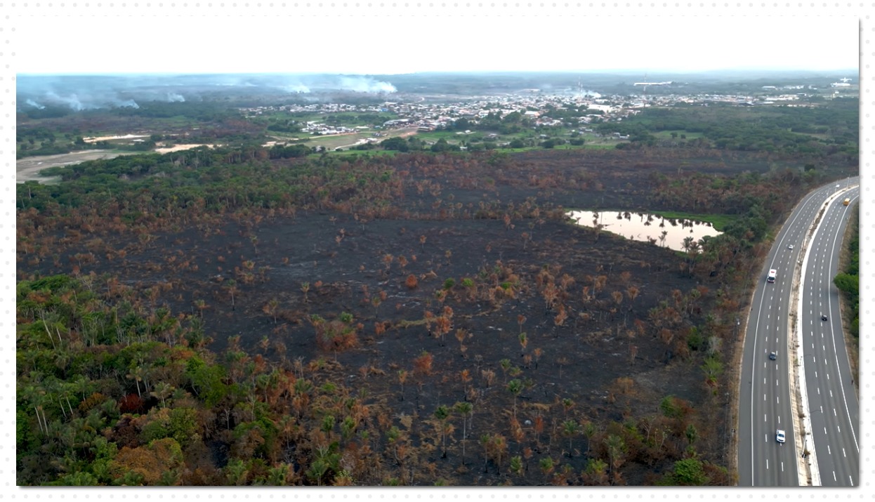 Em meio a críticas, Pará rebate fala do governador do Amazonas - News Rondônia
