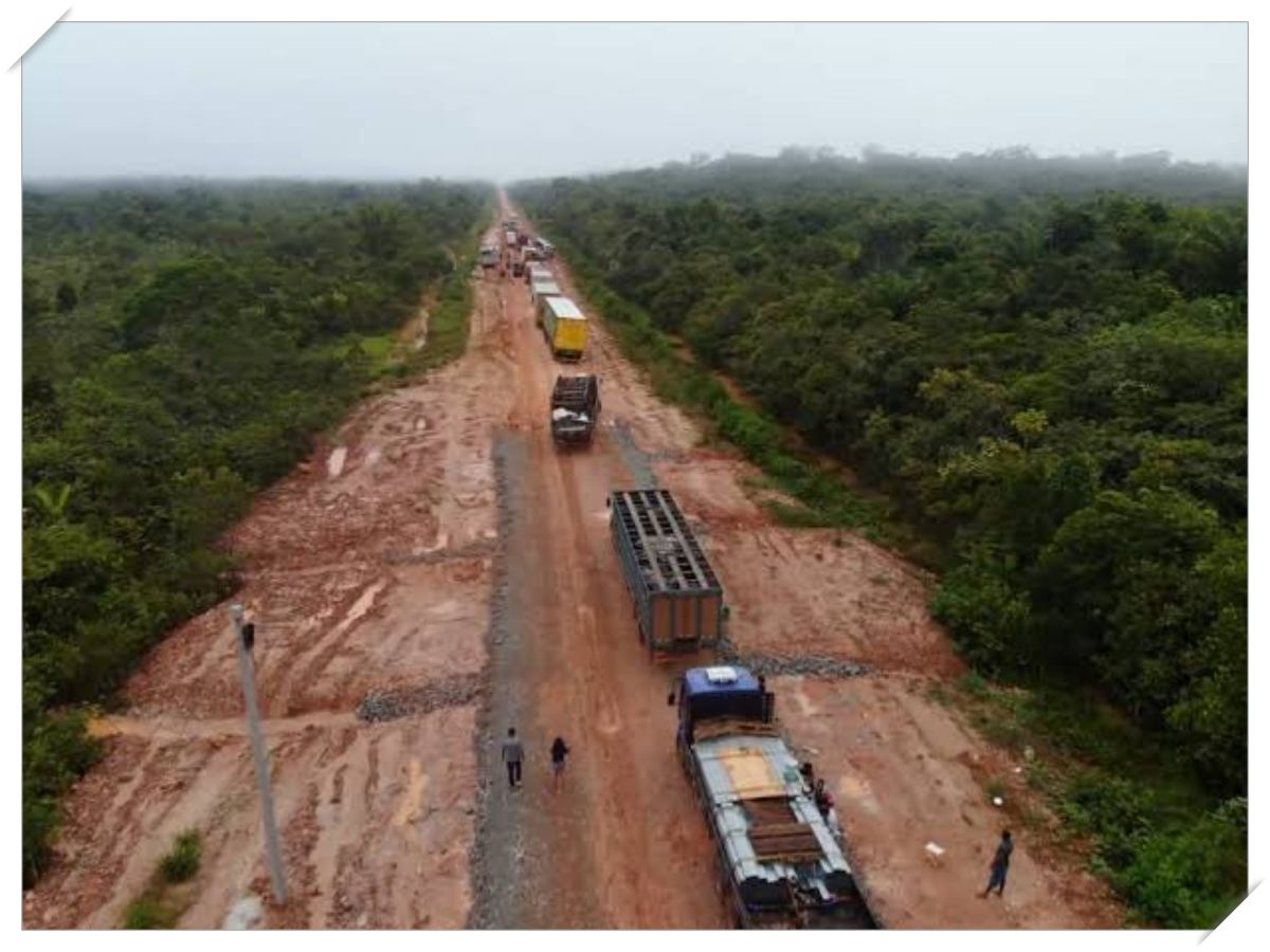 Estudo sobre a reconstrução da BR-319 segue sem 'meio ambiente e ibama' - News Rondônia
