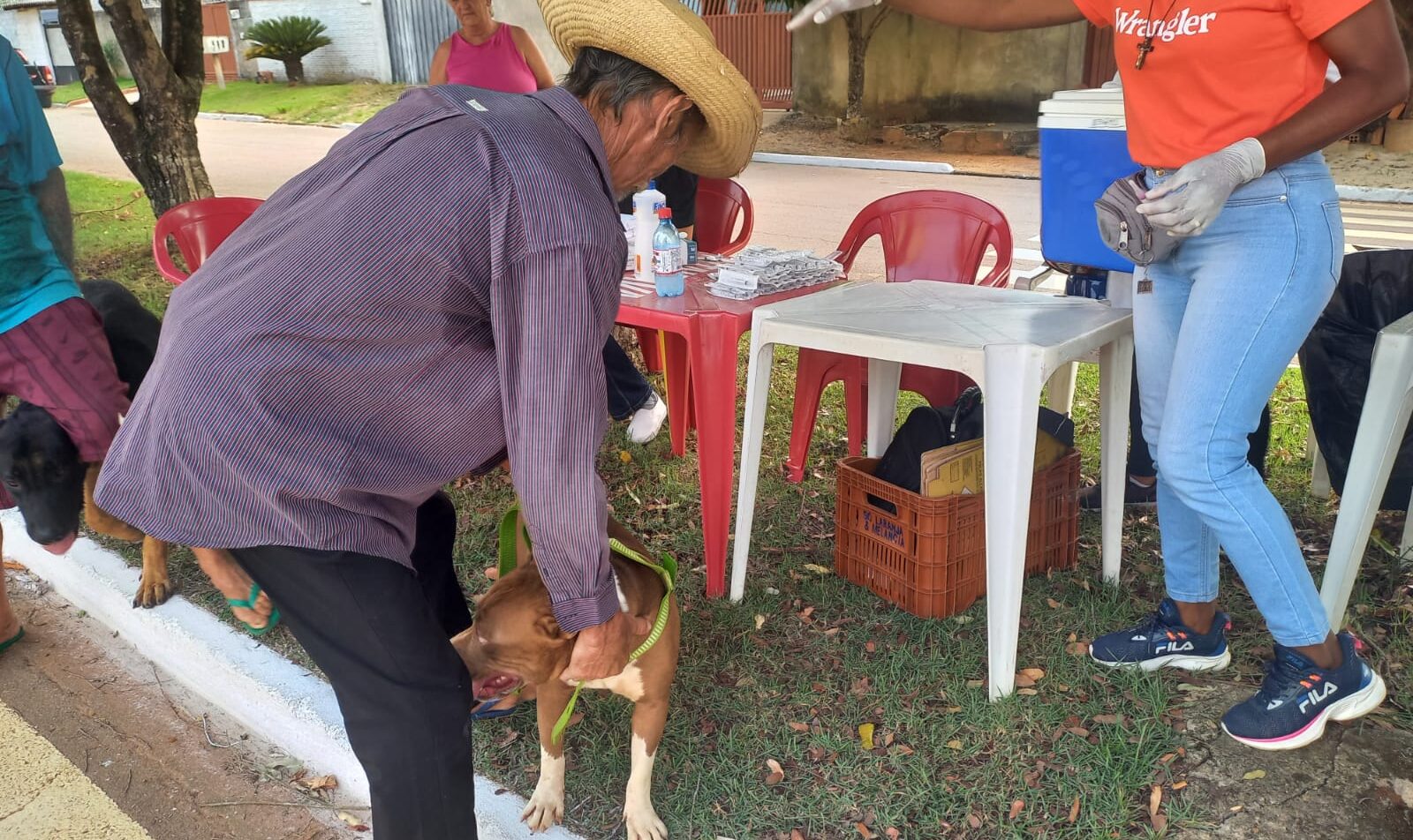 Prefeitura imuniza mais de 9 mil animais domésticos contra a raiva em Ariquemes