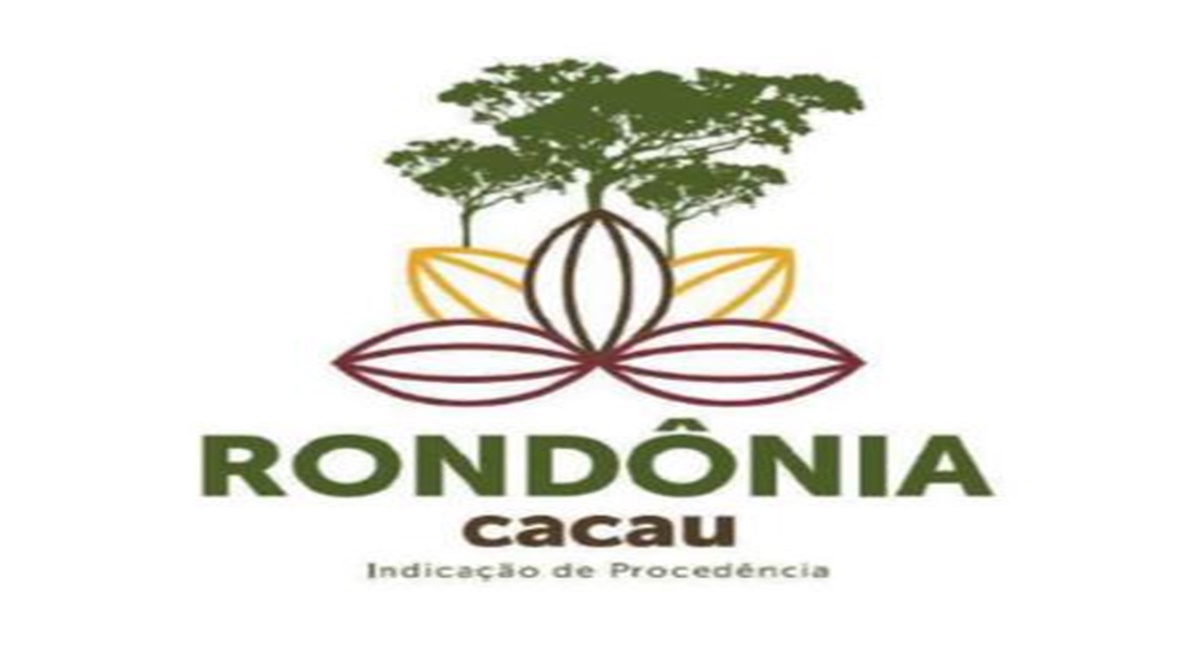 Cacau de Rondônia recebe selo geográfico de Indicação de Procedência de qualidade - News Rondônia Cacau de Rondônia recebe selo geográfico de Indicação de Procedência de qualidade