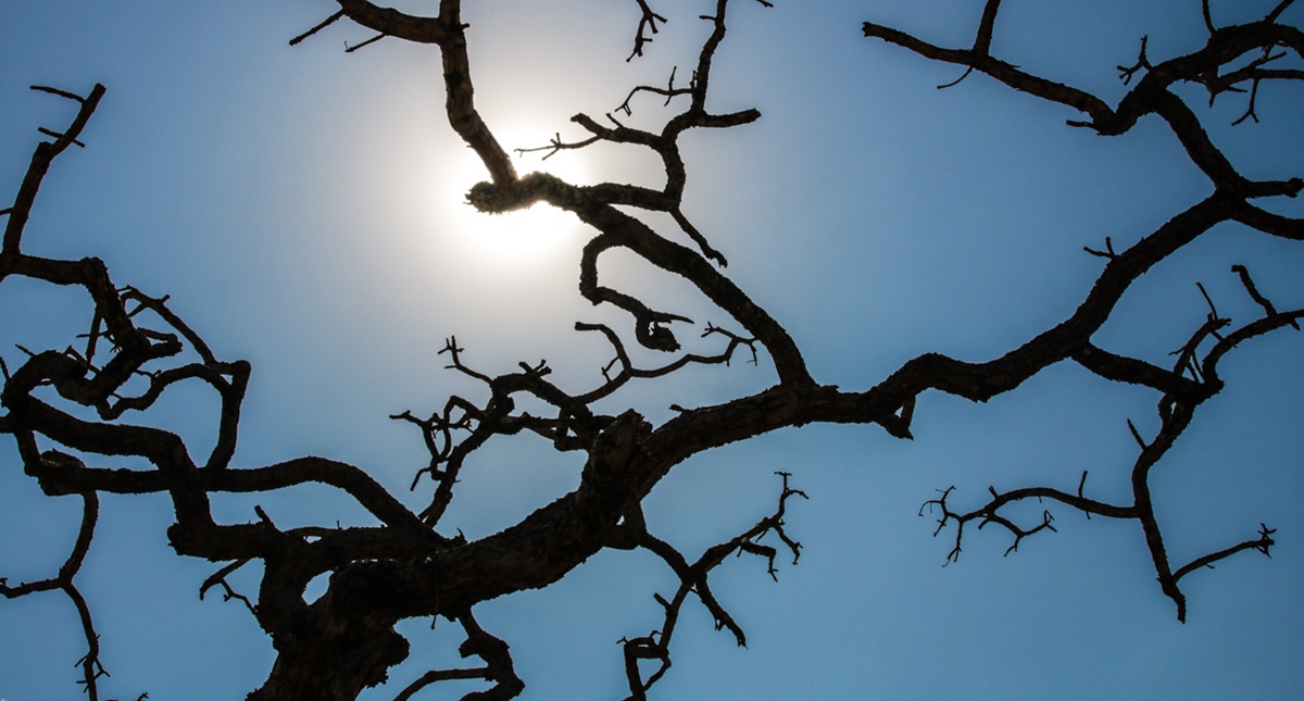 Brasil registra recorde da temperatura média pelo quarto mês seguido