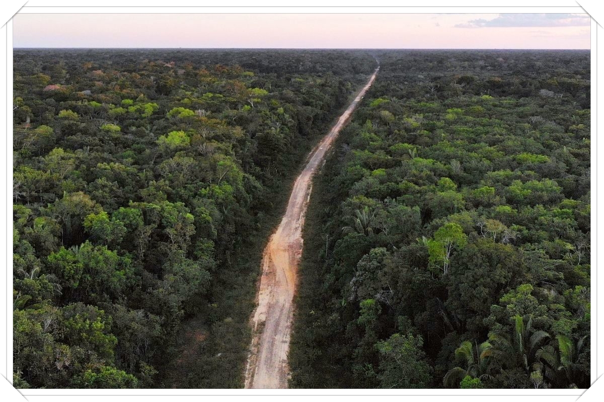 PRÓ-BR-319: Caravaneiros de Rondônia e Amazonas seguem para Brasília - News Rondônia