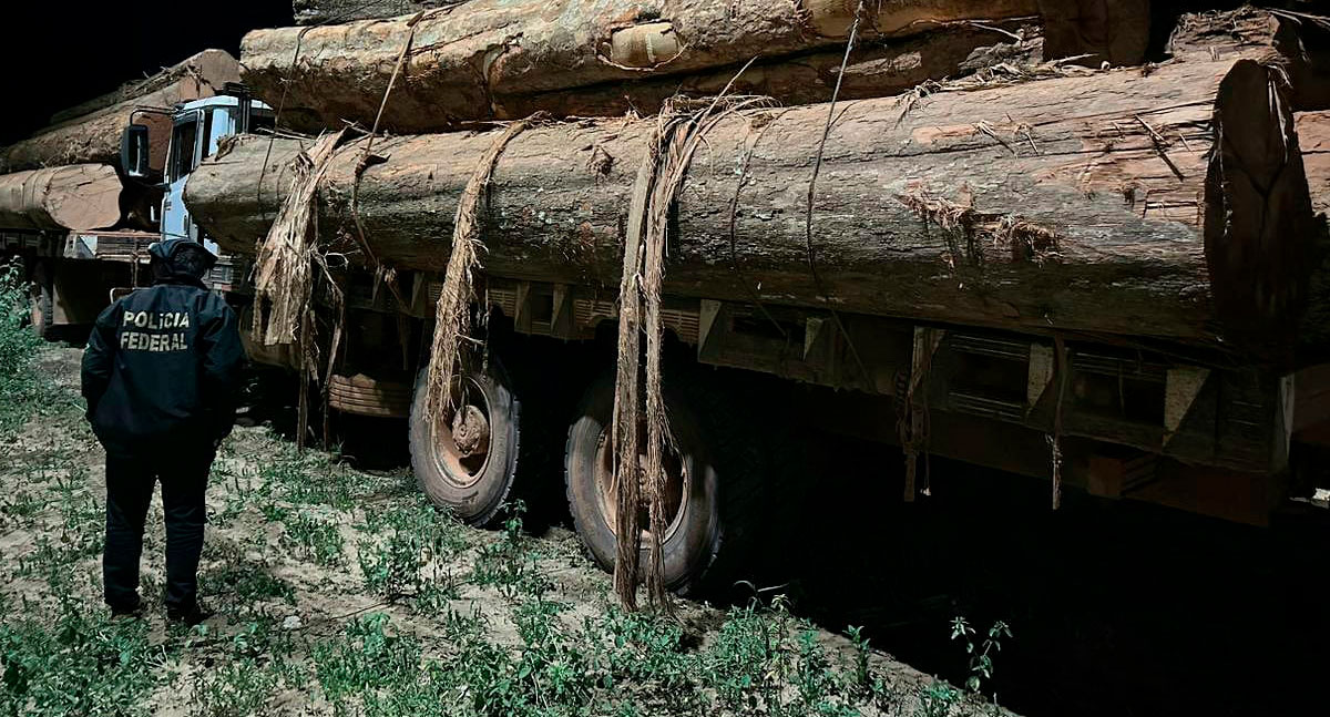 Polícia Federal apreende caminhões carregados de madeira retirada de terras indígenas em Rondônia - News Rondônia
