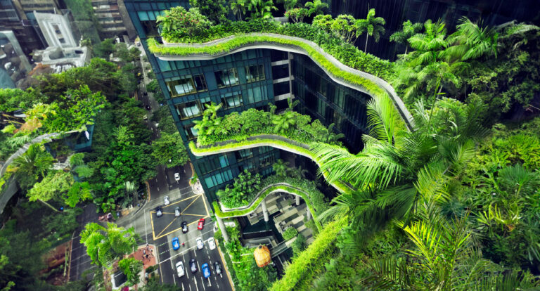 Paisagismo Urbano Sustentável: Transformando a Cidade - News Rondônia