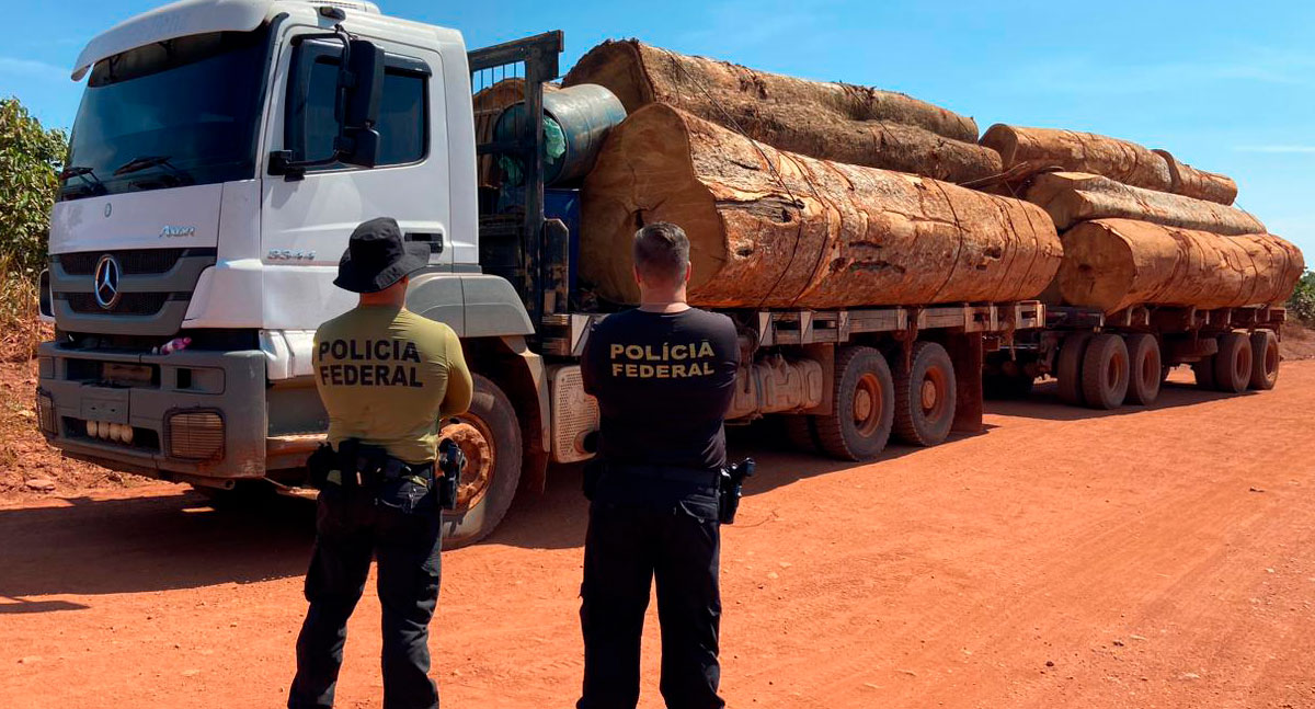 PF Rondônia apreende caminhão com madeira ilegal extraída de terra indígena - News Rondônia