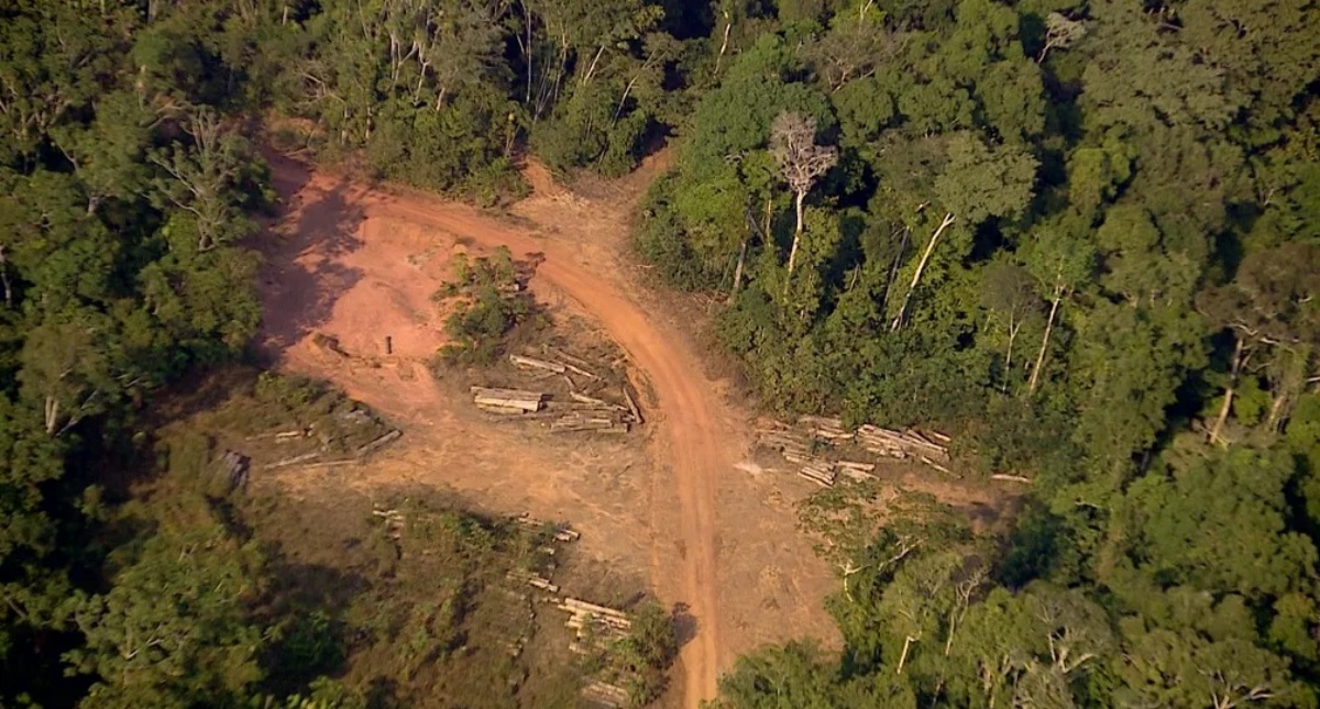 Rondônia é destaque e comemora índices positivos de redução do desmatamento